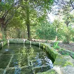 Quinta Lamas - Antiga Adega Vouzela