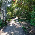 Quinta Lamas - Antiga Adega