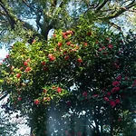 Quinta Lamas - Antiga Adega