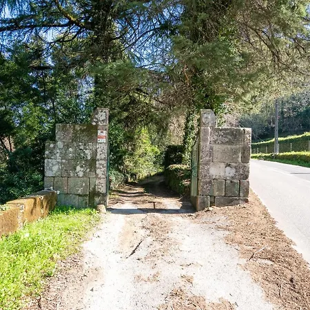 Quinta Lamas - Antiga Adega Vakantiehuis Vouzela