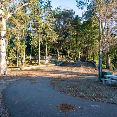 Vakantiehuis Quinta Lamas - Antiga Adega