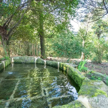 Quinta Lamas - Antiga Adega Vouzela