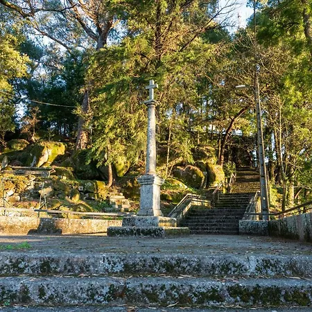 Quinta Lamas - Antiga Adega Vakantiehuis