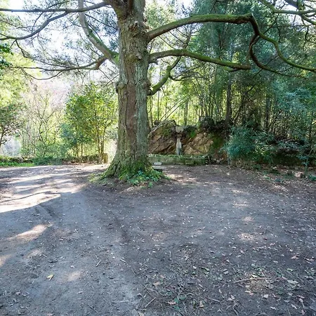 Vakantiehuis Quinta Lamas - Antiga Adega