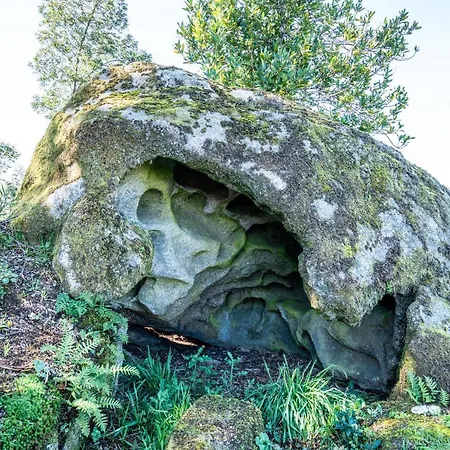 Quinta Lamas - Antiga Adega * Vouzela