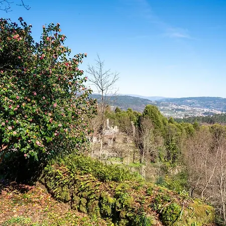 Quinta Lamas - Antiga Adega