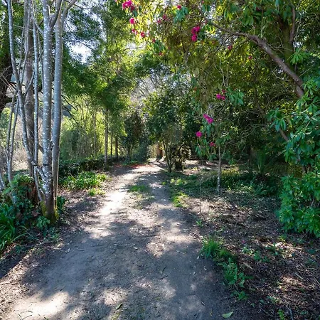 Quinta Lamas - Antiga Adega