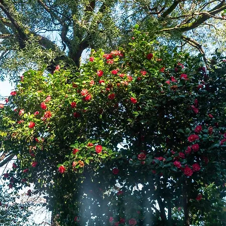 Quinta Lamas - Antiga Adega