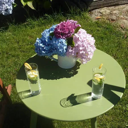 Quinta Lamas - Antiga Adega * Vouzela