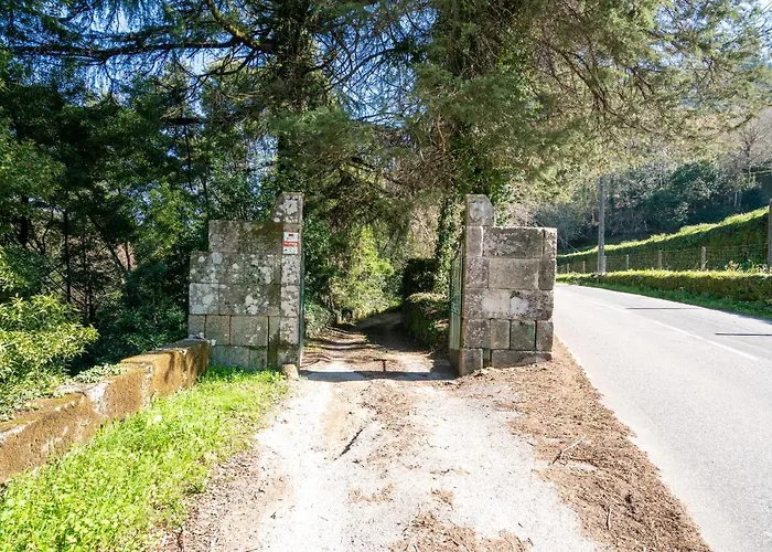 Quinta Lamas - Antiga Adega Hébergement de vacances Vouzela