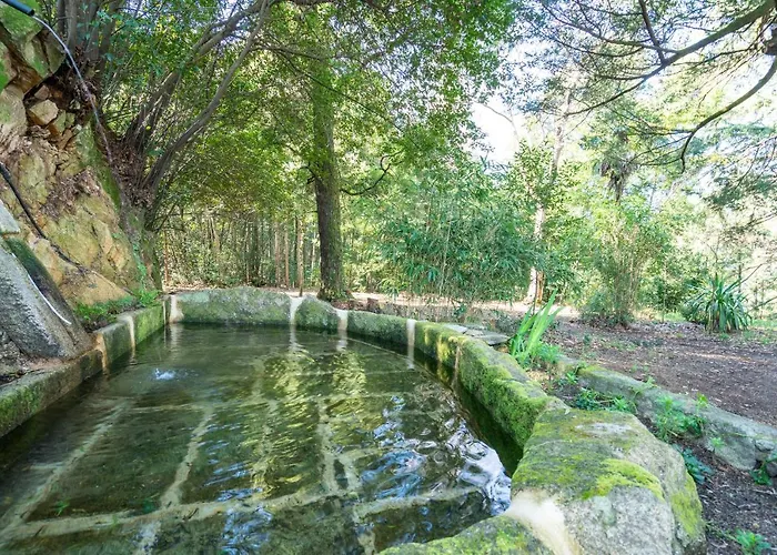 Quinta Lamas - Antiga Adega Vouzela