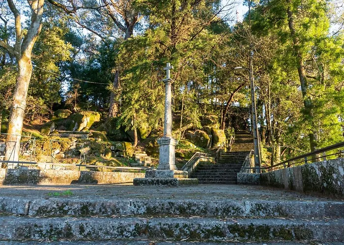 Quinta Lamas - Antiga Adega Hébergement de vacances