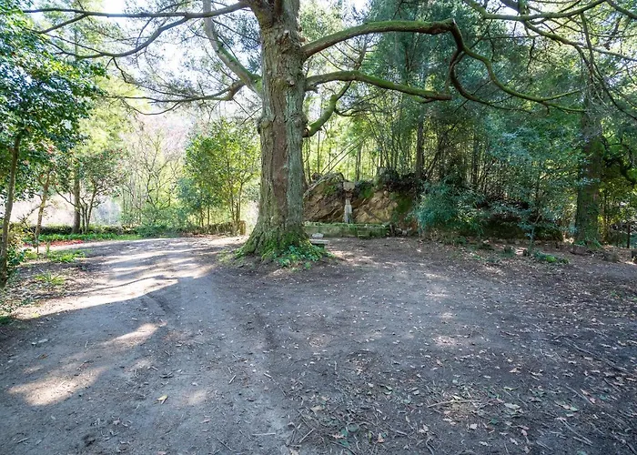 Hébergement de vacances Quinta Lamas - Antiga Adega