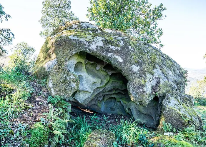 Quinta Lamas - Antiga Adega * Vouzela