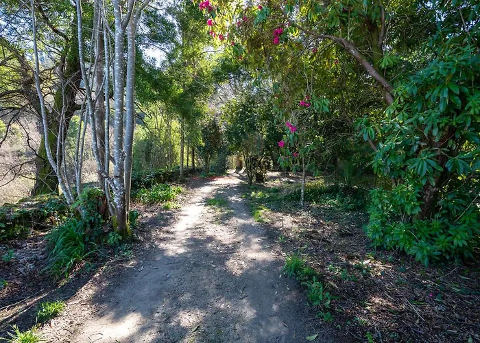 Quinta Lamas - Antiga Adega