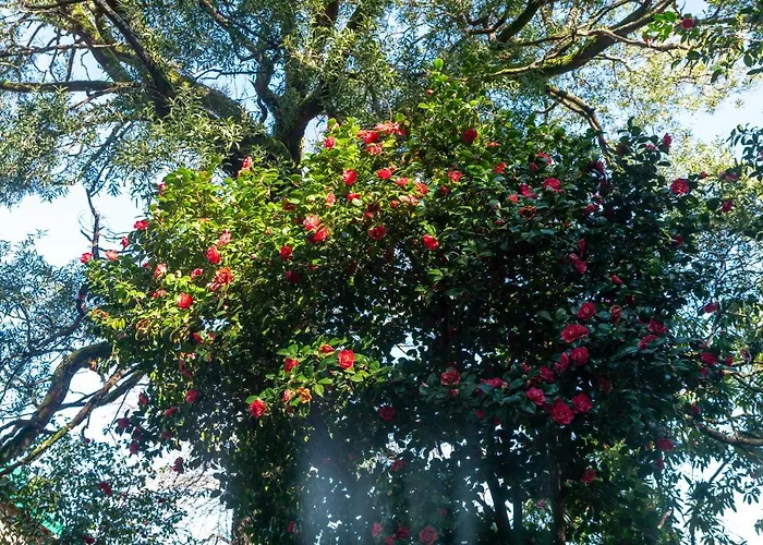 Quinta Lamas - Antiga Adega