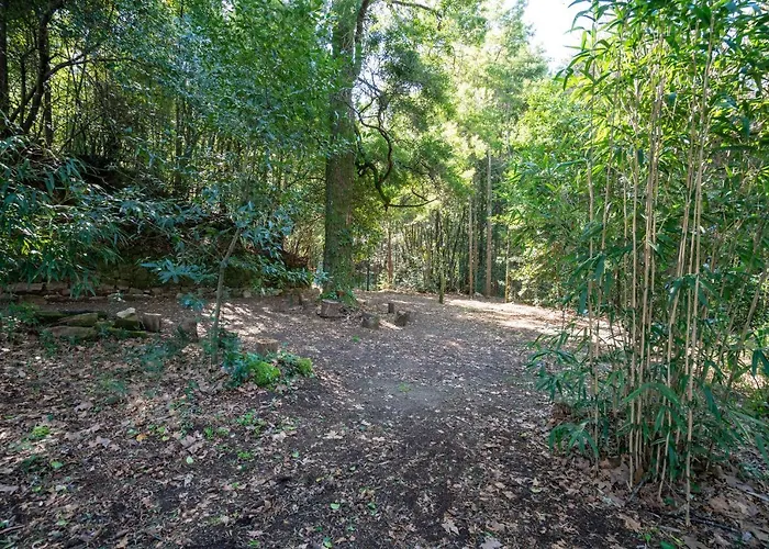 Quinta Lamas - Antiga Adega Hébergement de vacances