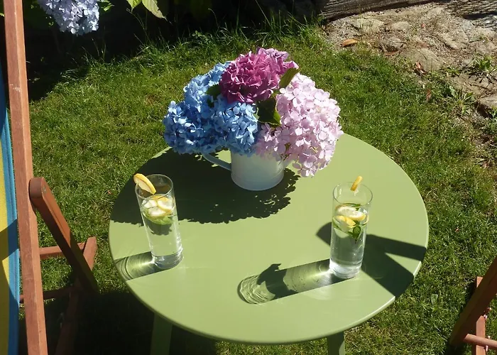 Quinta Lamas - Antiga Adega * Vouzela