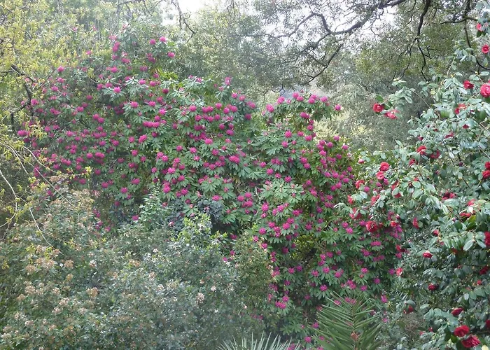 Quinta Lamas - Antiga Adega *